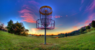 disc golf net